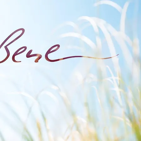 Отель Strandhotel Bene 4*